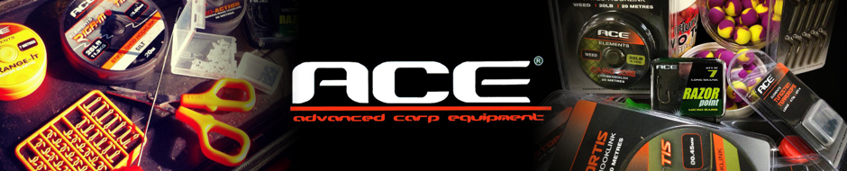 Multime de noutati la Big Fish